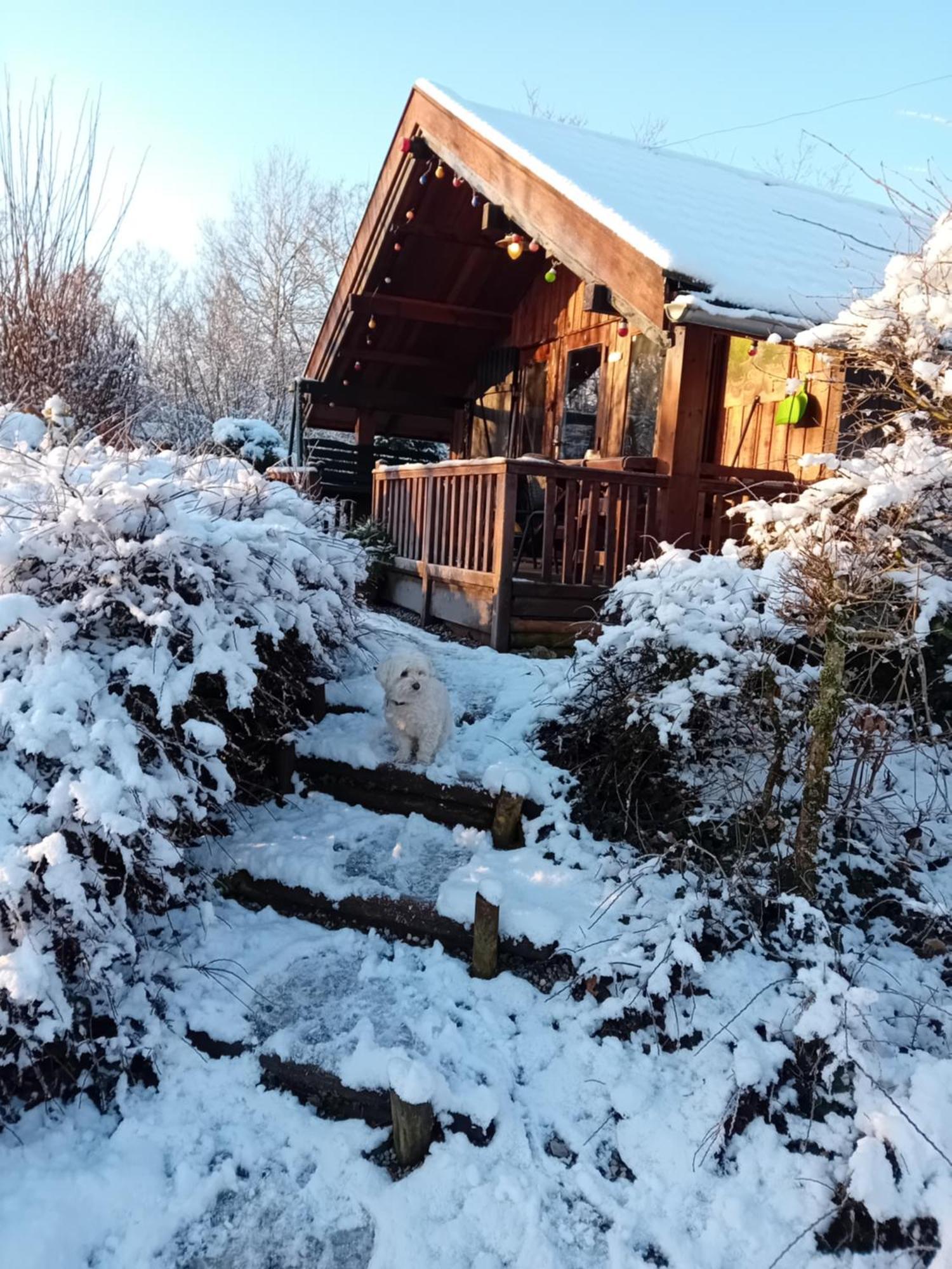 Chalet Barvaux Met Grote Tuin Durbuy Dış mekan fotoğraf