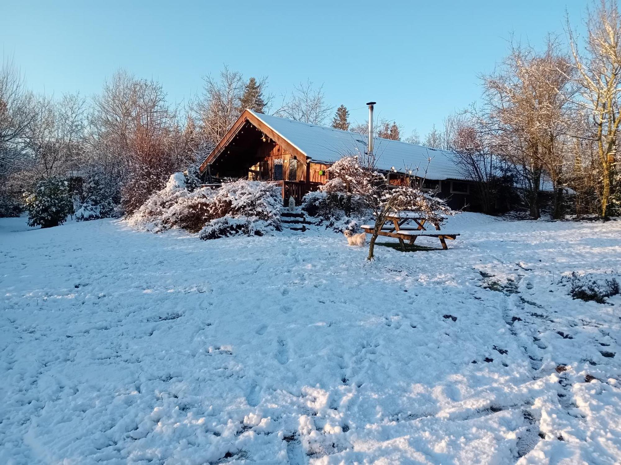 Chalet Barvaux Met Grote Tuin Durbuy Dış mekan fotoğraf